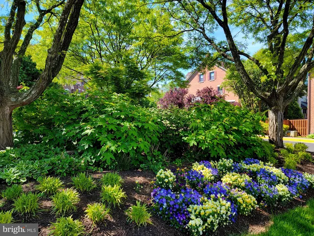 $4,500 | 6358 Brampton Court, Alexandria, VA 22312