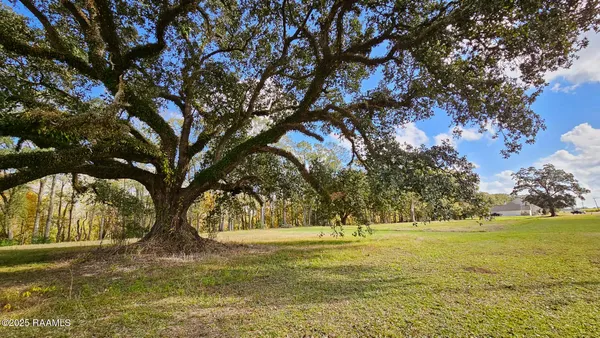 $110,000 | Tbd Main Highway, Unit 8A, Arnaudville, LA 70512