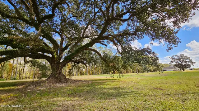 $110,000 | Tbd Main Highway, Unit 8A, Arnaudville, LA 70512