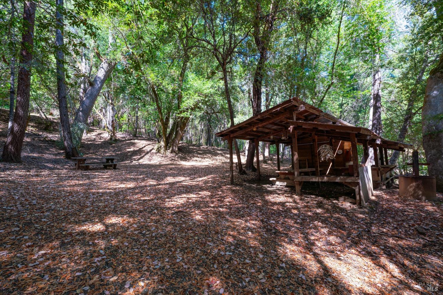 58380 Highway 162 Dos Rios, CA 95429 - Photo 11 of 62