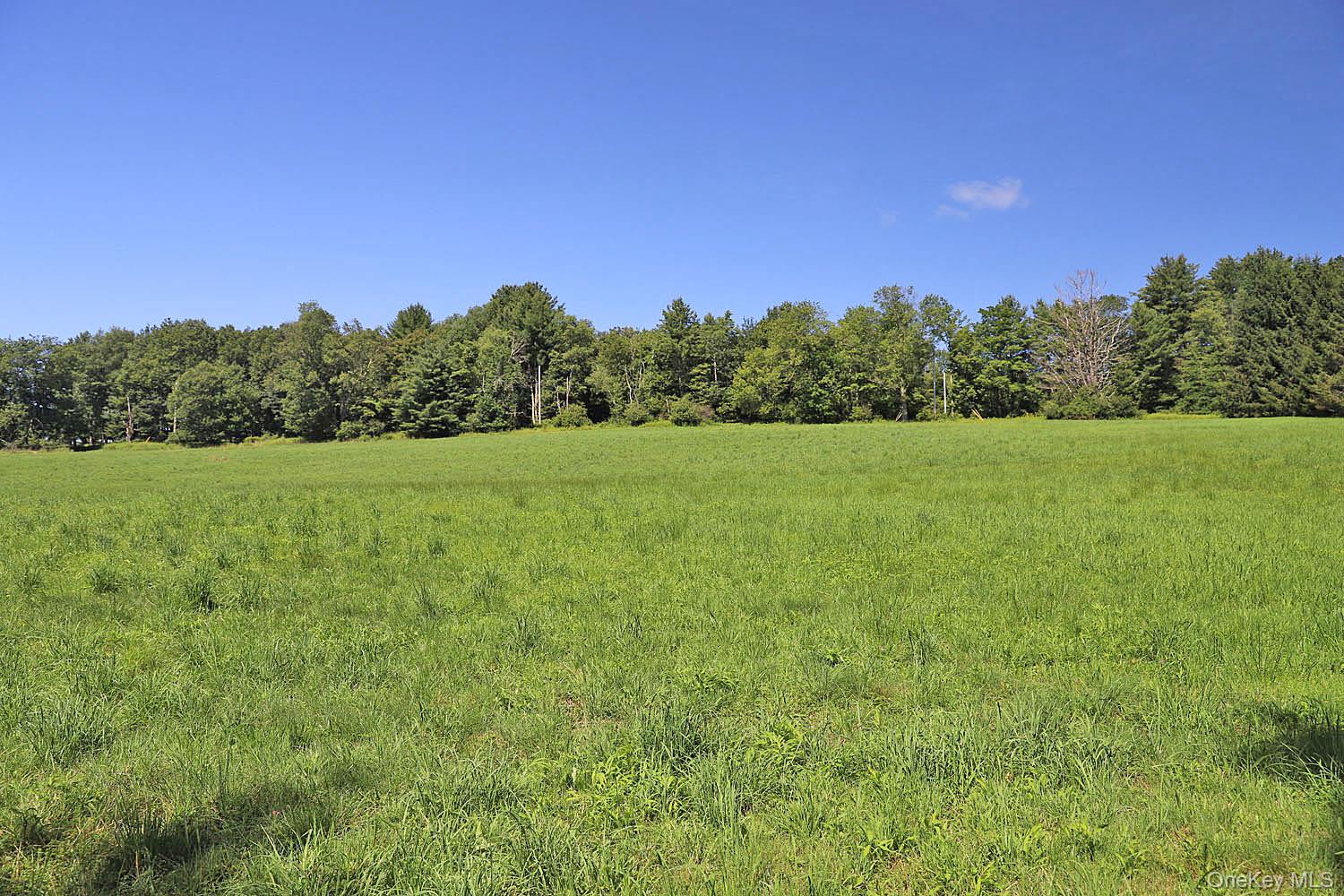 Lot 4 B Hurd Road Bethel, NY 12720 - Photo 15 of 20 Gallery Image 15