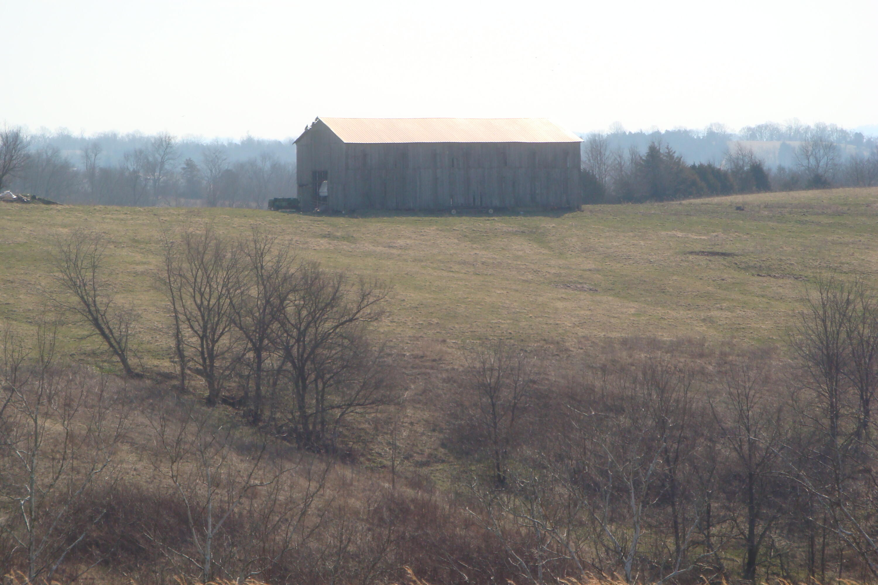 4037 Howards Mill Road Mount Sterling, KY 40353 - Photo 1 of 26 DSC07564
