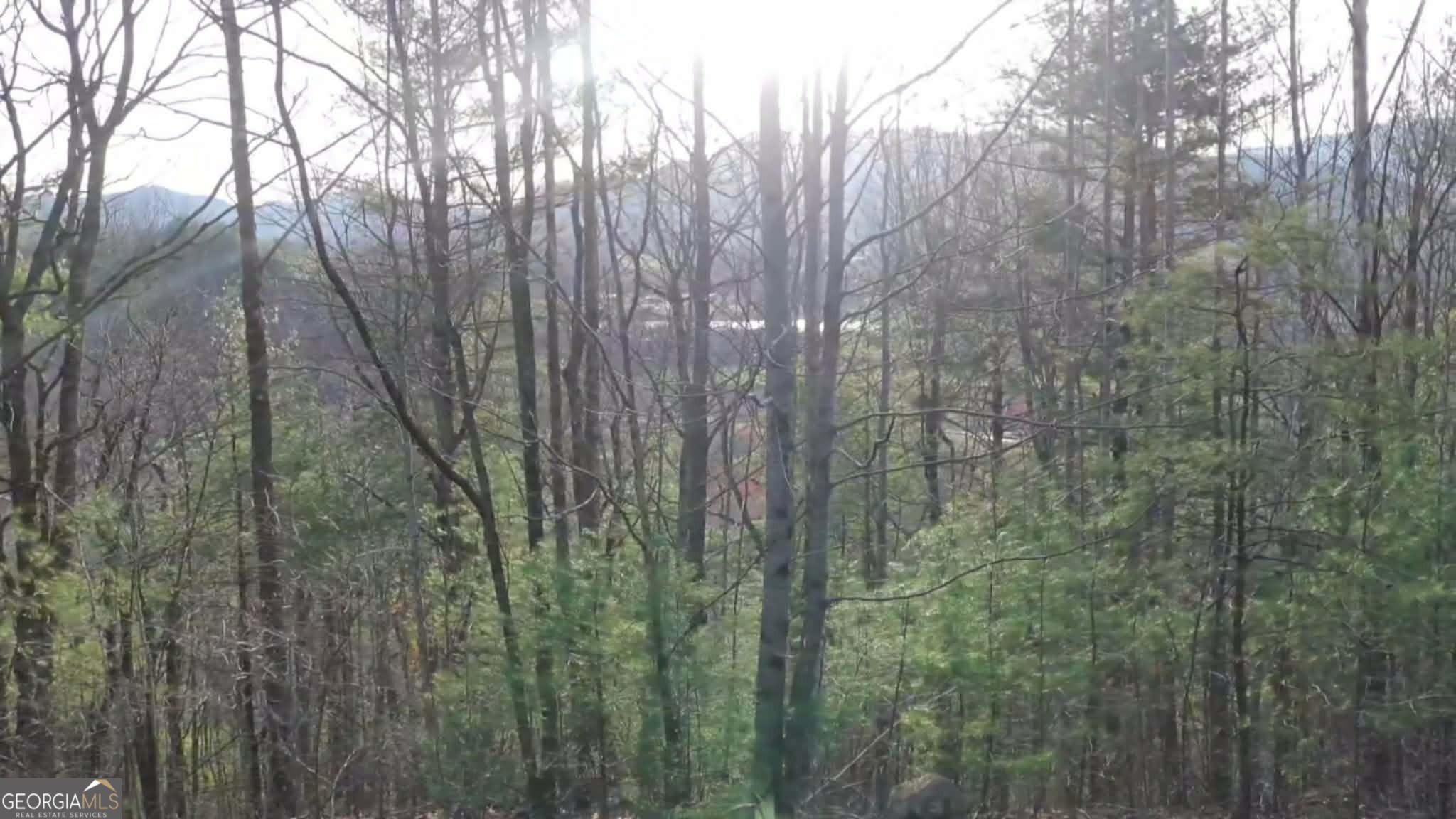 35 Winter Court, Unit 35 Rabun Gap, GA 30568 - Photo 9 of 19