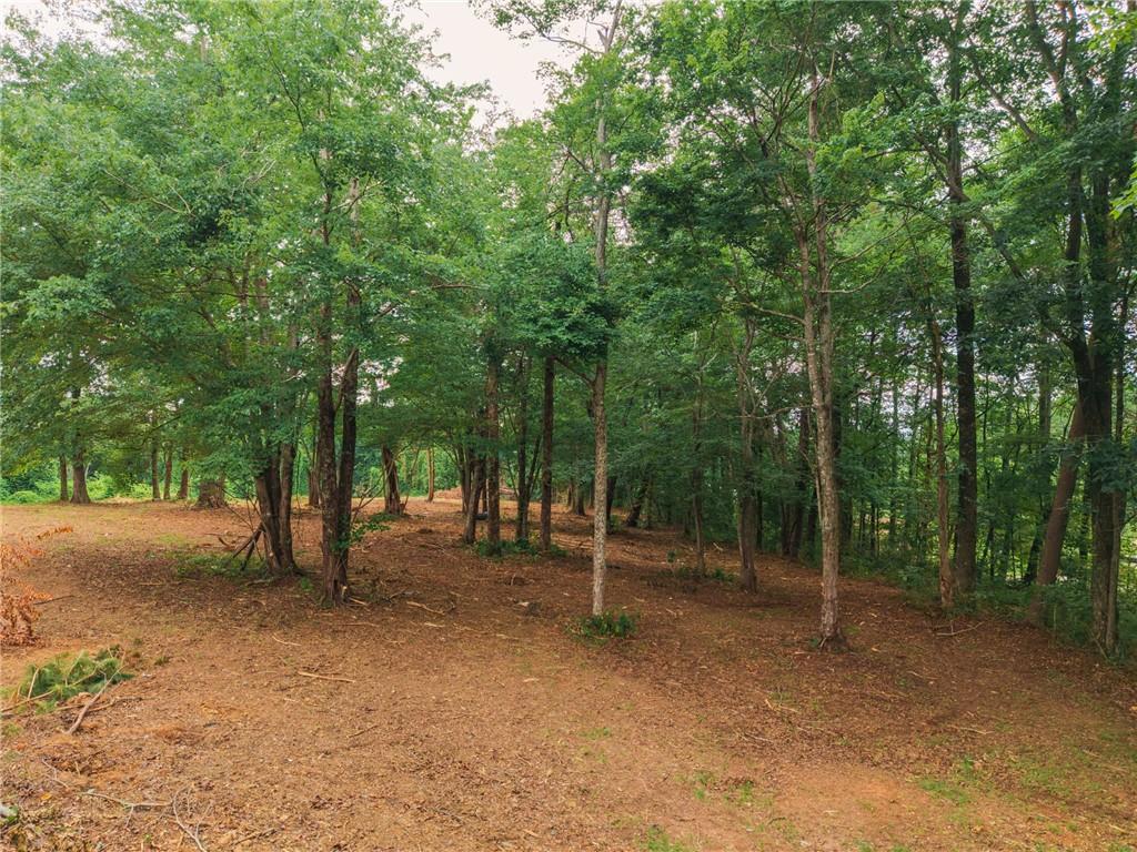 100 Hill City Road Jasper, GA 30143 - Photo 30 of 39