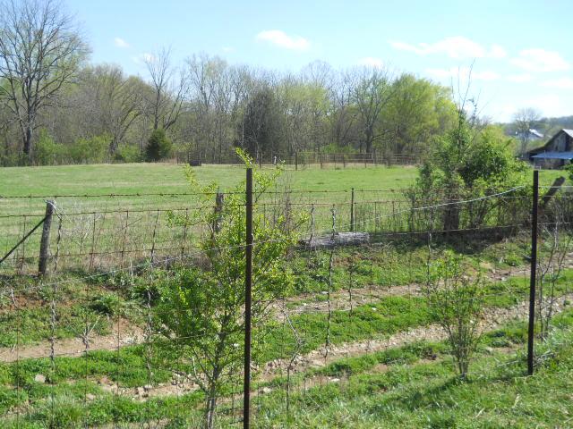 260 Hopkins Road Pulaski, TN 38478 - Photo 5 of 20 Gallery Image 5