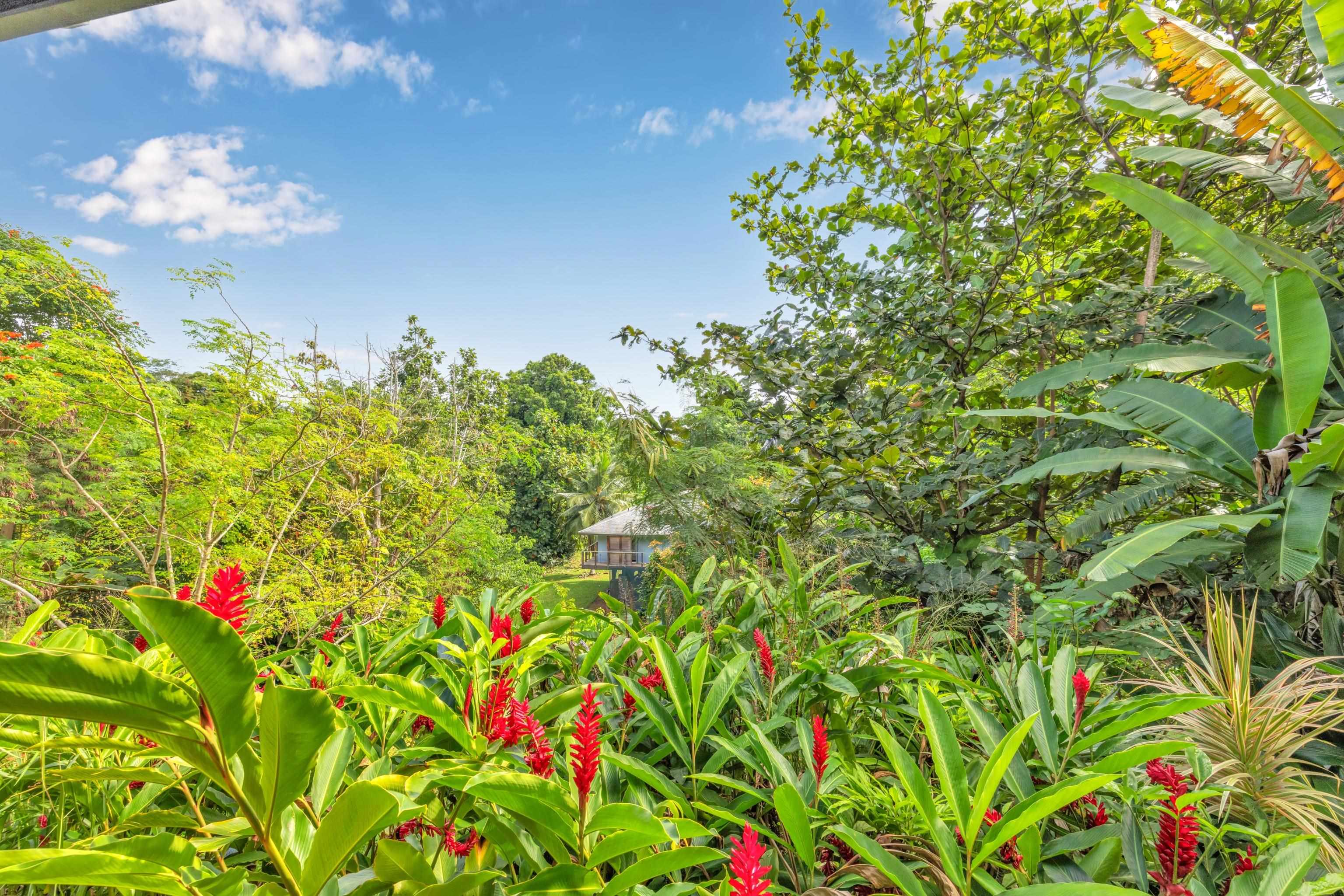 4685 Uakea Road Hana, HI 96713 - Photo 32 of 50