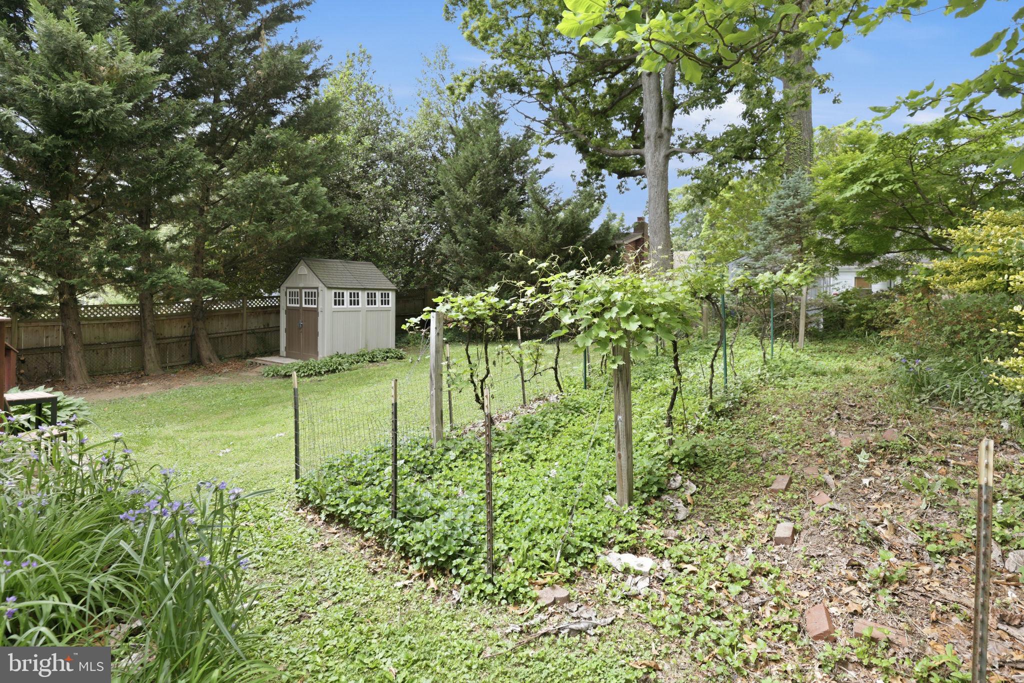 10510 Hayes Avenue Silver Spring, MD 20902 - Photo 22 of 24 Private backyard with open space