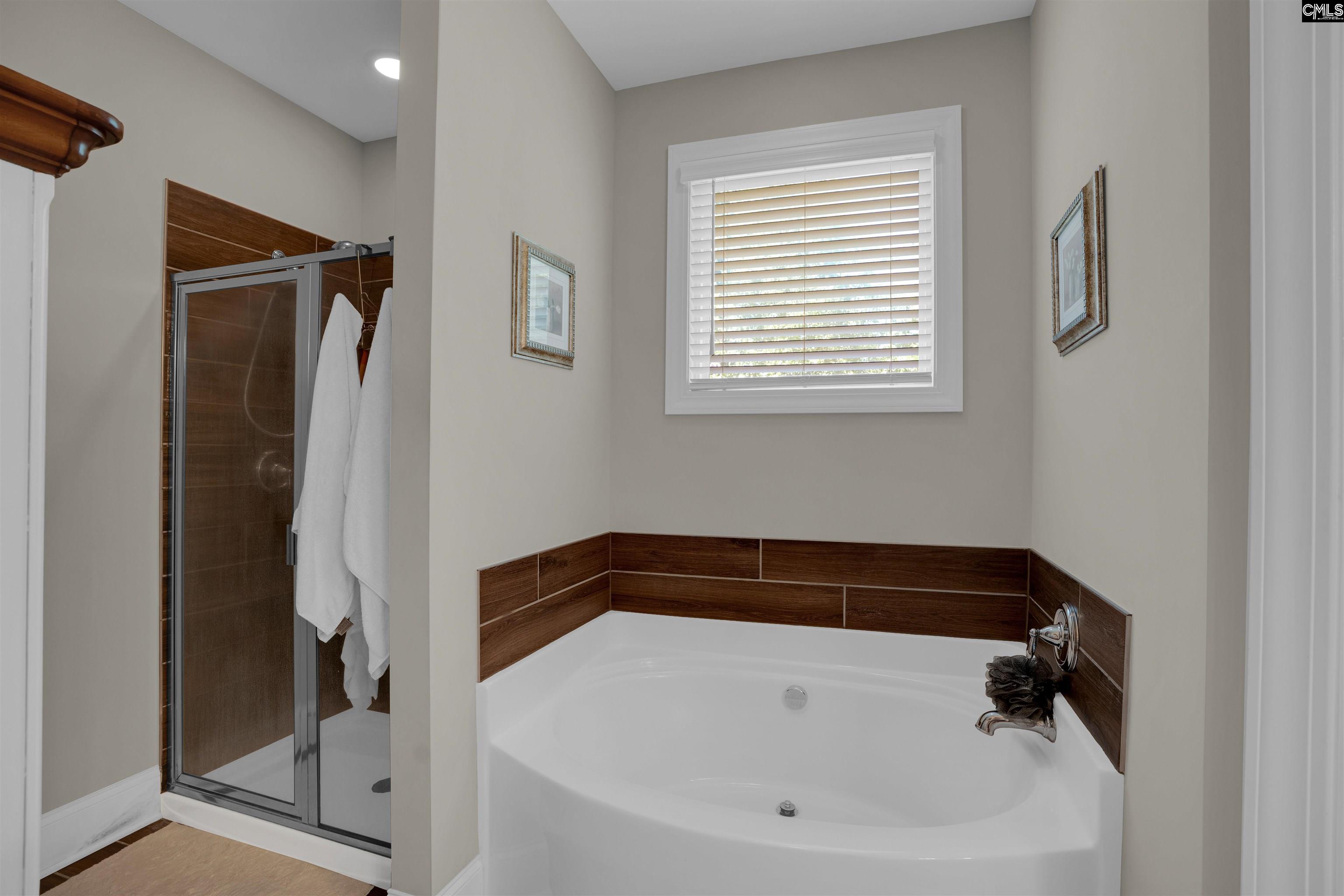 238 Hilton View Court Chapin, SC 29036 - Photo 10 of 63