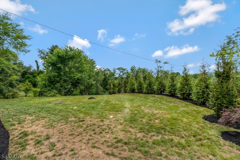 752 Valley Road Gillette, NJ 07933 - Photo 46 of 50