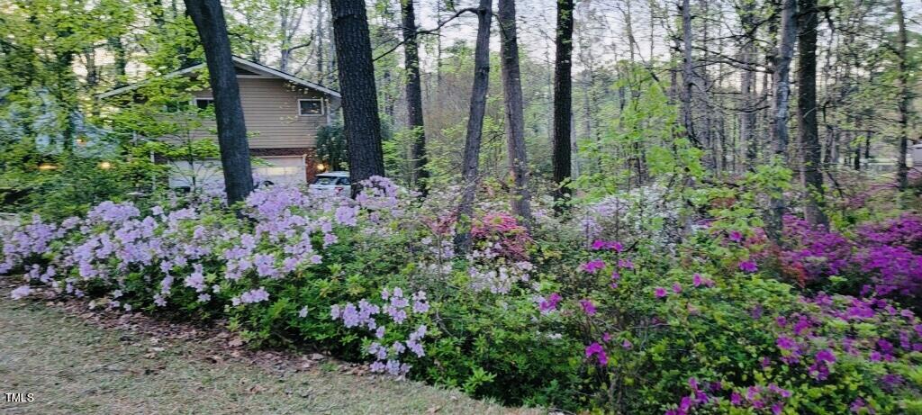 4809 Old Elizabeth Road Raleigh, NC 27616 - Photo 52 of 60 Spring