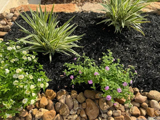 $3,995 | 211 Corazon, Boerne, TX 78006