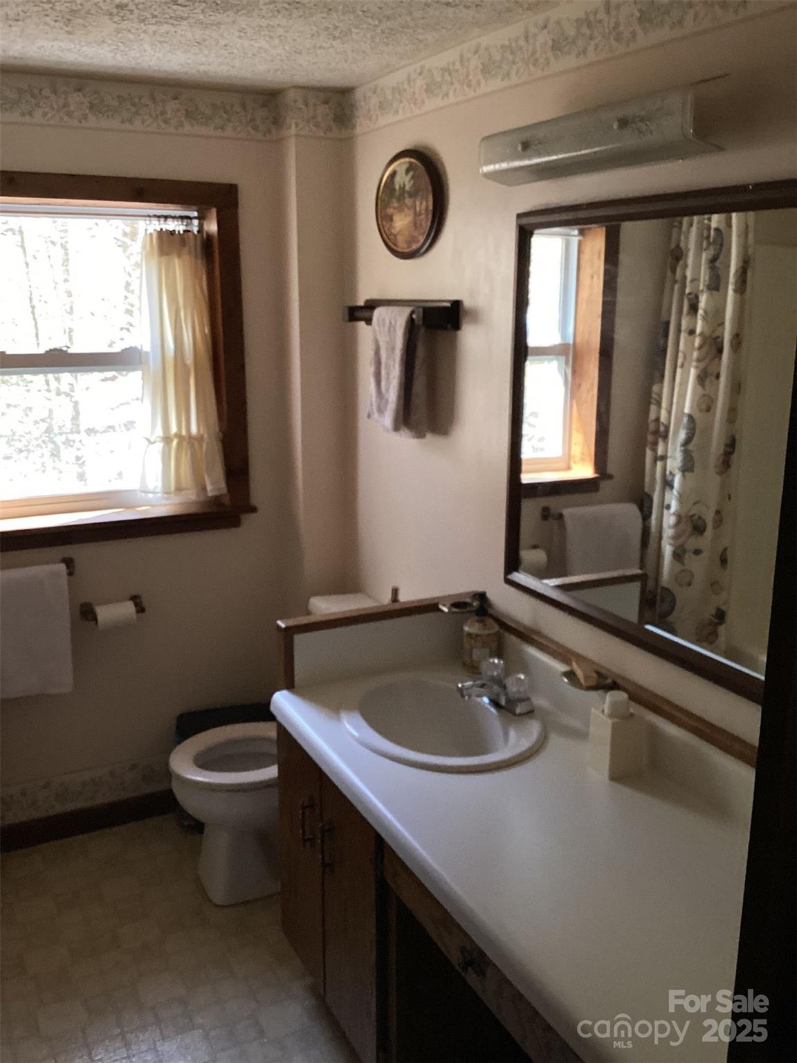 4700 West Buffalo Road Robbinsville, NC 28771 - Photo 25 of 25 a bathroom with a sink toilet a mirror and window