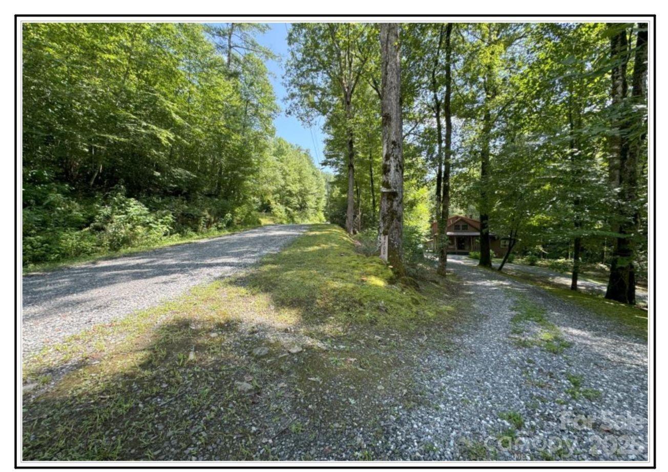4700 West Buffalo Road Robbinsville, NC 28771 - Photo 4 of 25 a view of a trees with yard