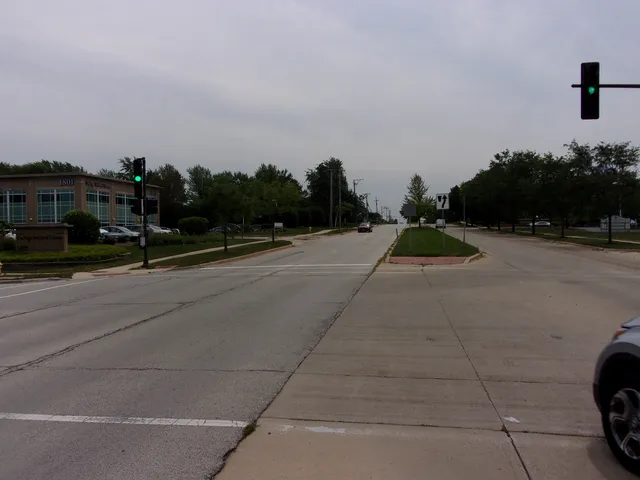 a view of a green field with trees in the background
