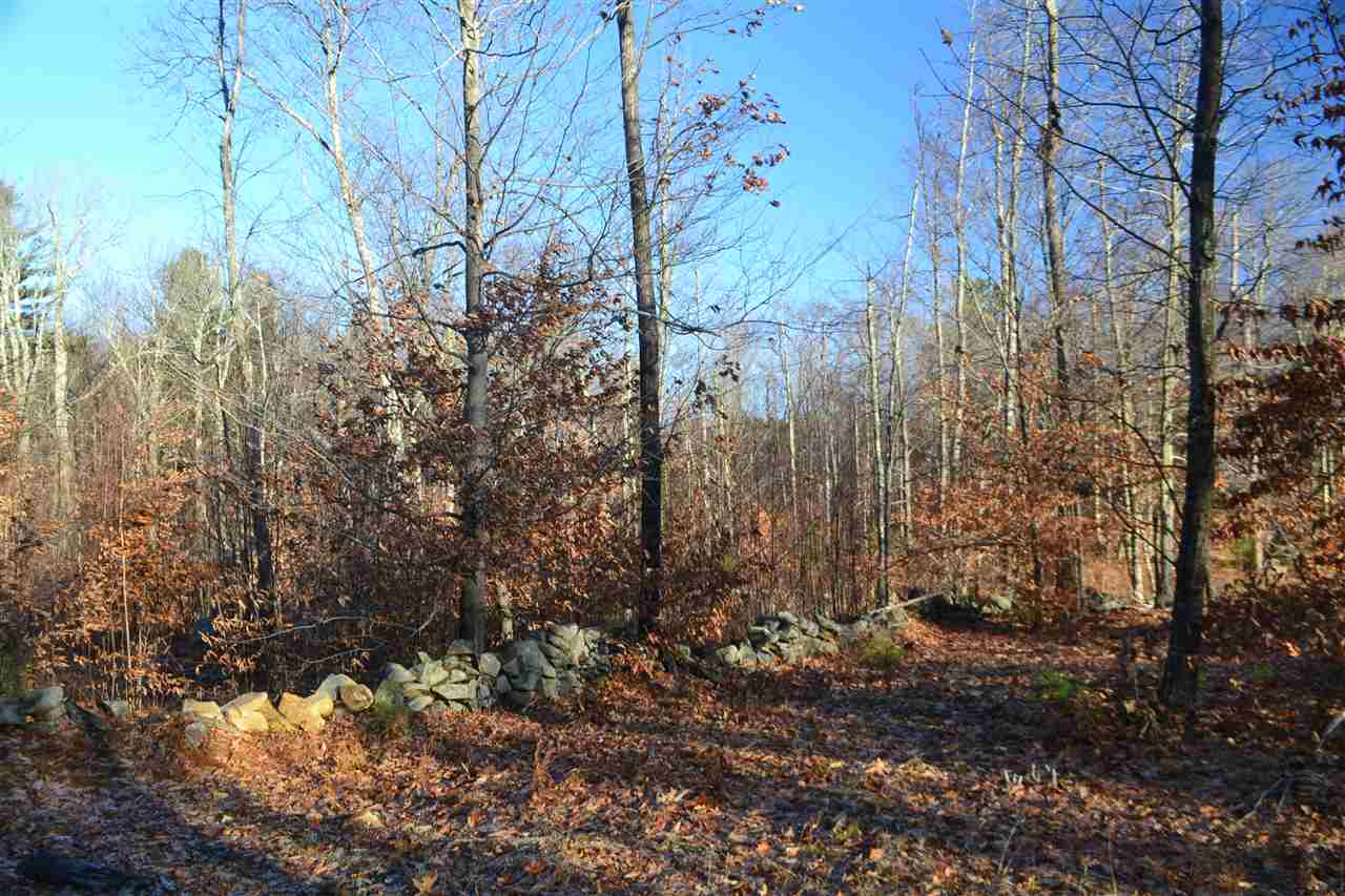 742 Province Road Gilmanton, NH 03237 - Photo 4 of 12