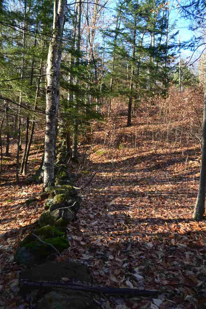 742 Province Road Gilmanton, NH 03237 - Photo 10 of 12