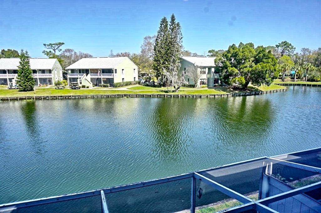 1873 Mazo Manor Road, Unit 5 Lutz, FL 33558 - Photo 23 of 41 a view of a lake with houses