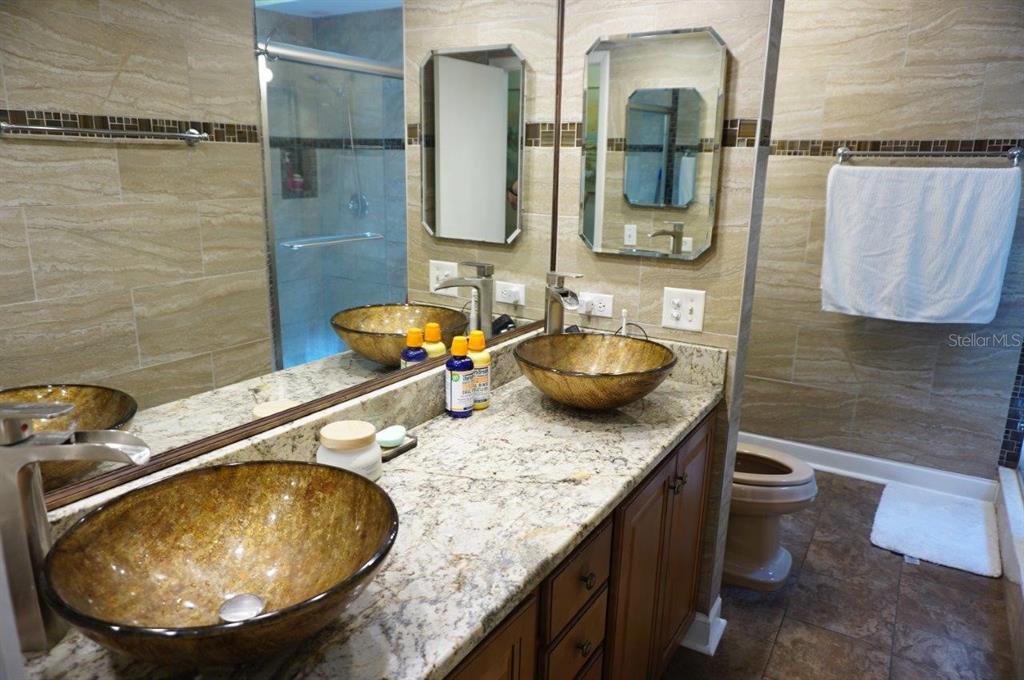 1873 Mazo Manor Road, Unit 5 Lutz, FL 33558 - Photo 24 of 41 a bathroom with a granite countertop sink a toilet and a mirror