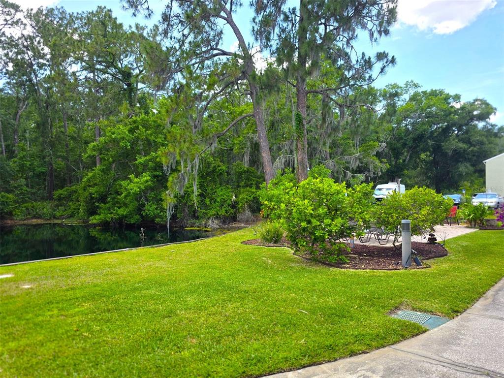1873 Mazo Manor Road, Unit 5 Lutz, FL 33558 - Photo 38 of 41 a view of a garden with plants and large trees