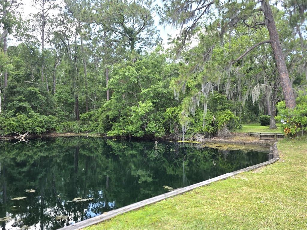 1873 Mazo Manor Road, Unit 5 Lutz, FL 33558 - Photo 39 of 41 a view of a garden from a lake