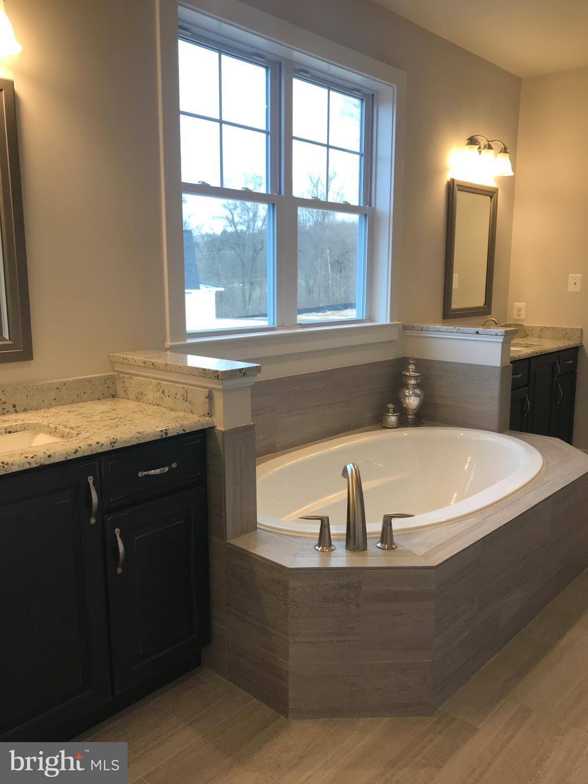14522 Old Frederick Road Cooksville, MD 21723 - Photo 9 of 10 Master Bathroom.