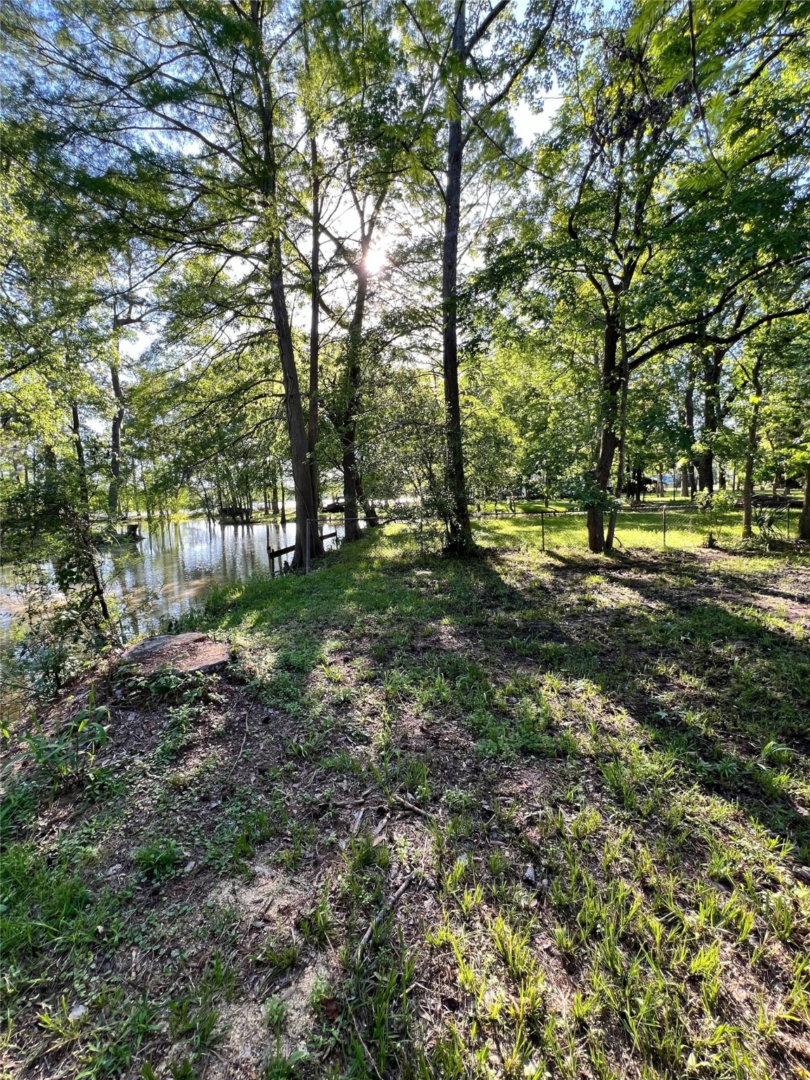 0 Diamond Way Huffman, TX 77336 - Photo 4 of 11 a big yard with lots of green space and trees