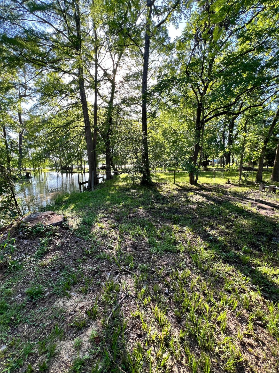 0 Diamond Way Huffman, TX 77336 - Photo 9 of 11 a backyard of a house with lots of green space