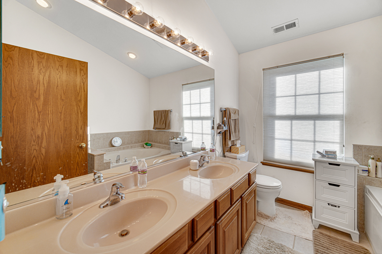 188 Breckenridge Court Gilberts, IL 60136 - Photo 12 of 25 a bathroom with a double vanity sink window and a bathtub