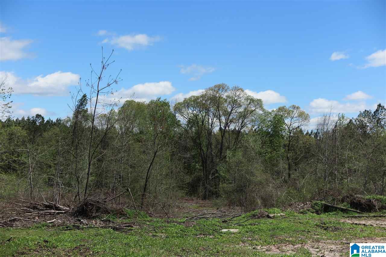 176 County Road, Unit 122 Five Points, AL 36855 - Photo 4 of 10