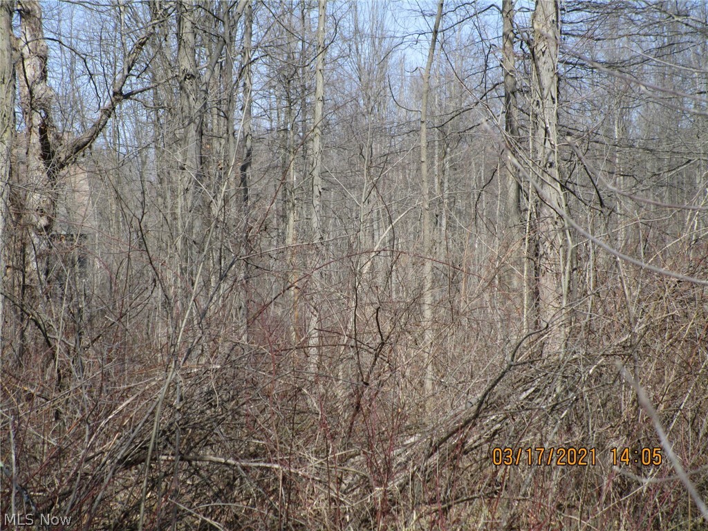 1 Plank Road Orwell, OH 44076 - Photo 6 of 15 Gallery Image 6
