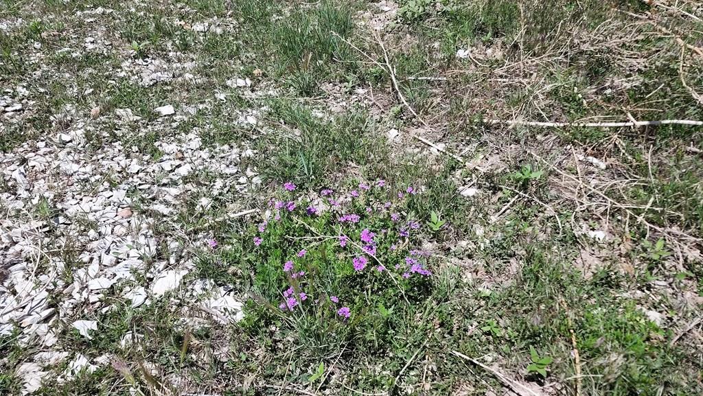 110 County Road 110 Rye, CO 81069 - Photo 19 of 37