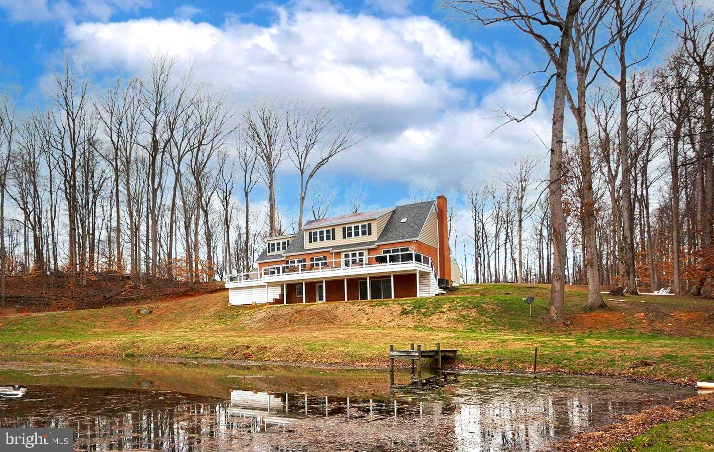 Overlooking the pond