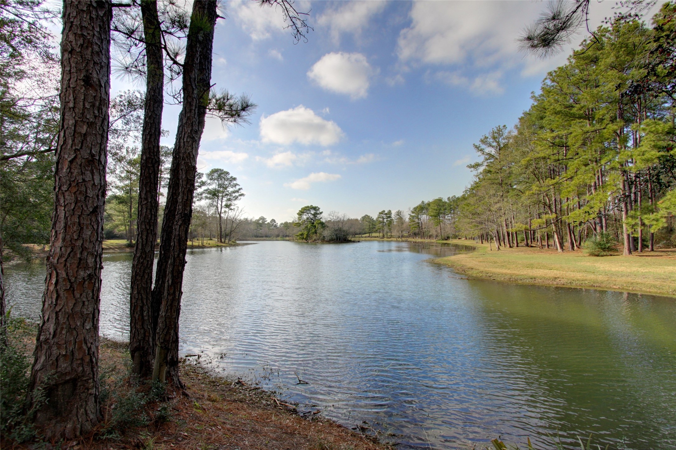 27243 Jessica Hills Lane Spring, TX 77386 - Photo 40 of 49 The Spring Trails community includes a large stocked fishing lake, 10+ miles of nature trails, several playgrounds, community pool, tennis courts, A+ CISD schools, and best of all, excellent location!