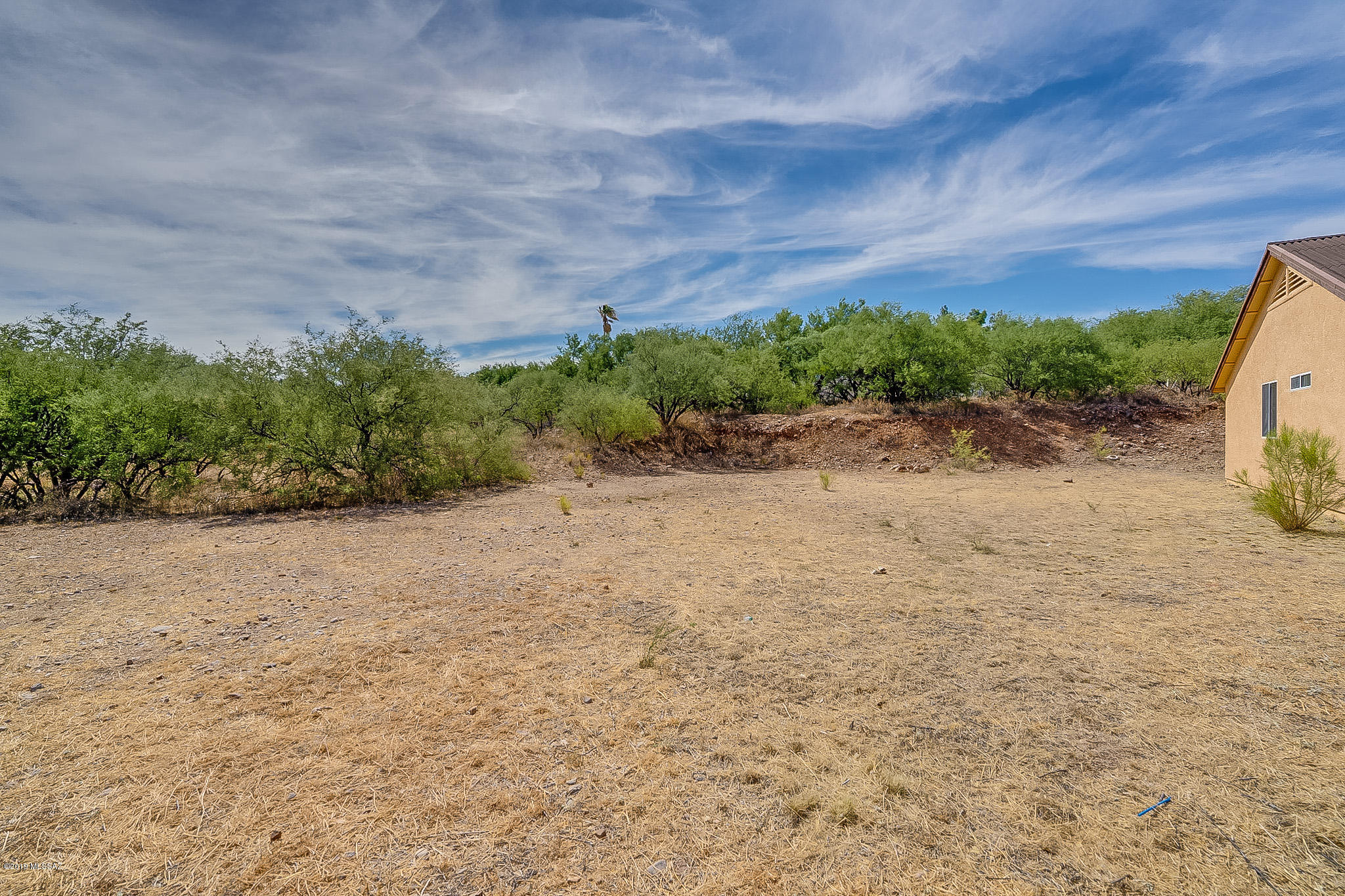 410 Wrightson Street Rio Rico, AZ 85648 - Photo 49 of 50 a view of a dry yard with a tree