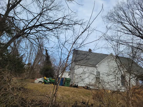 a parking space with lots of trees