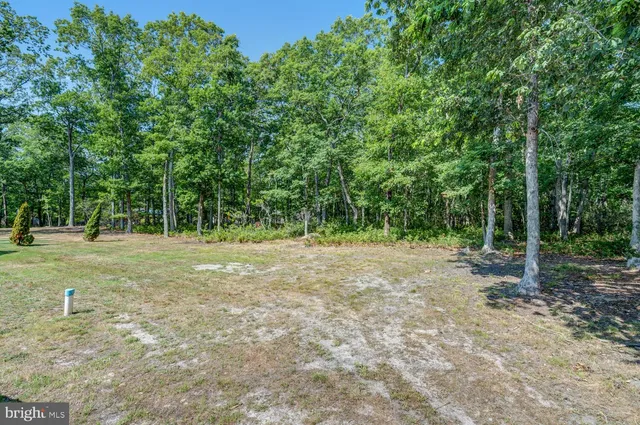 a view of a yard with wooden fence