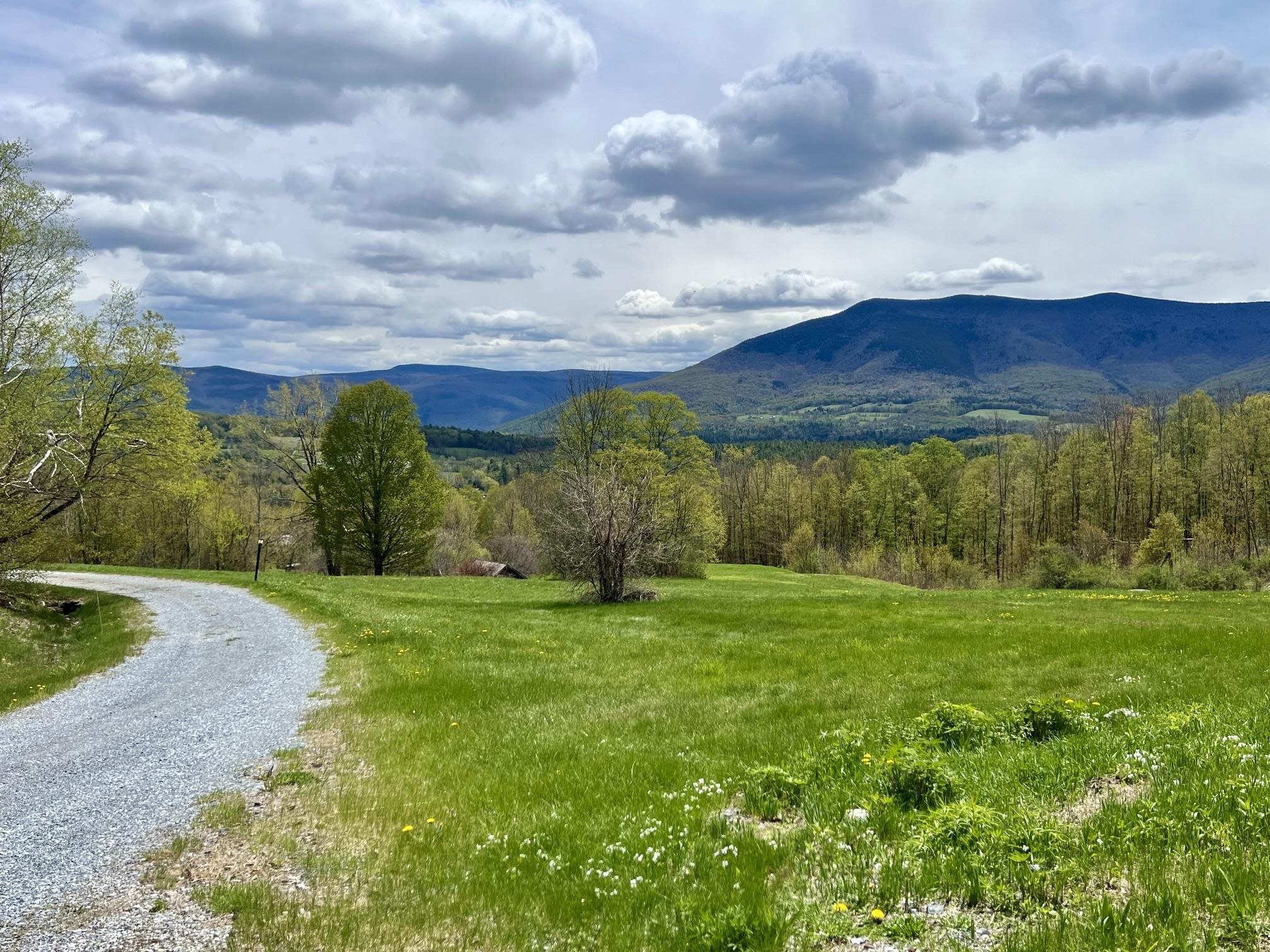 413 Dutch Hill Road Danby, VT 05739 - Photo 2 of 3