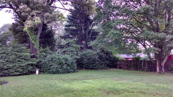 69 Ardmore Road Framingham, MA 01702 - Photo 30 of 30 a view of a backyard with large trees