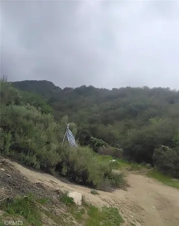 a view of a field