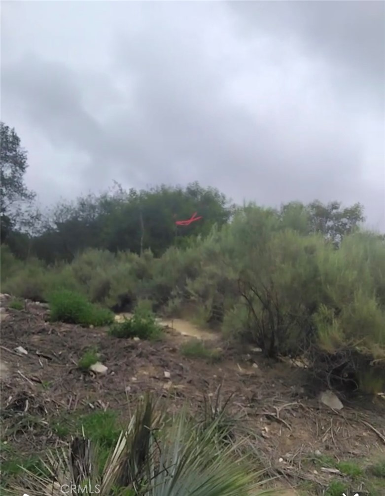 0 Tujunga La Crescenta, CA 91214 - Photo 15 of 24