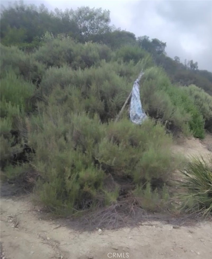 0 Tujunga La Crescenta, CA 91214 - Photo 17 of 24