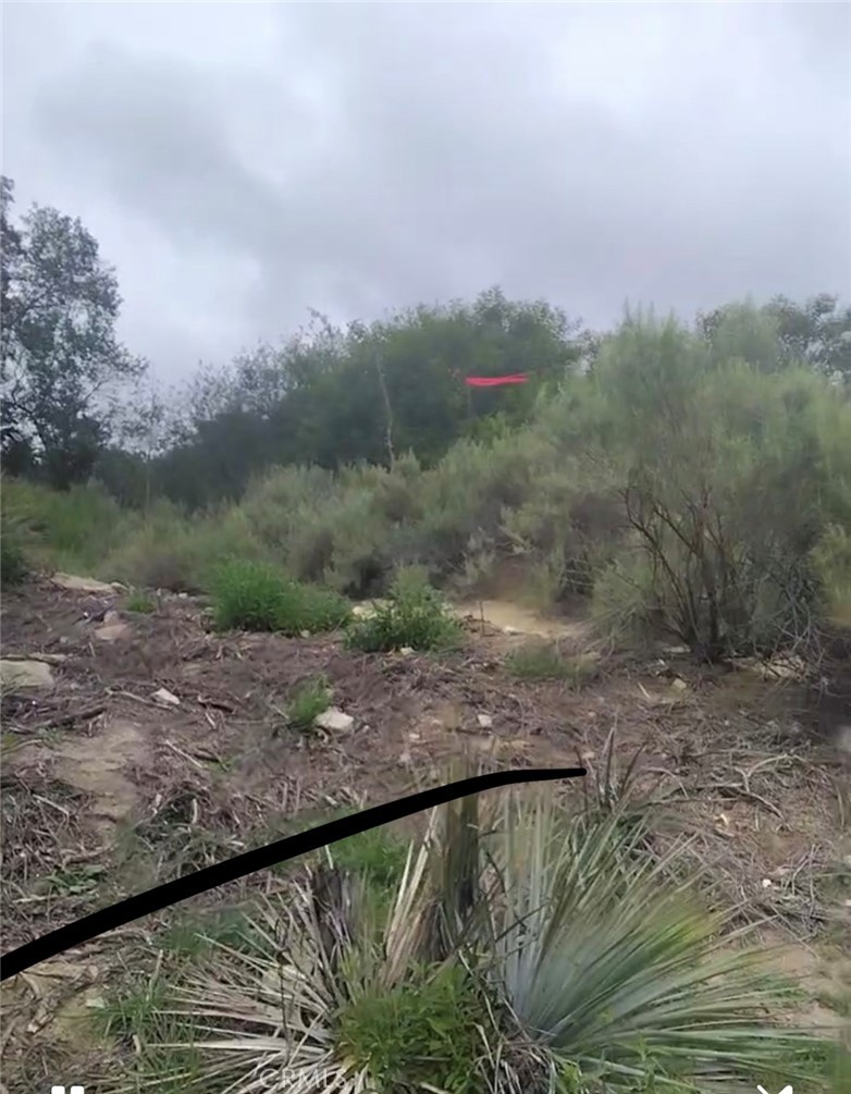 0 Tujunga La Crescenta, CA 91214 - Photo 18 of 24