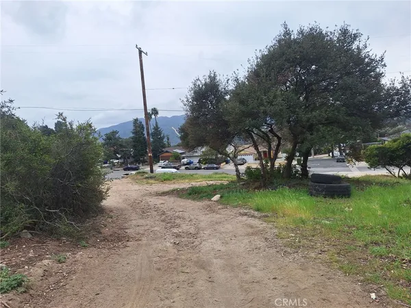 a view of yard with tree s
