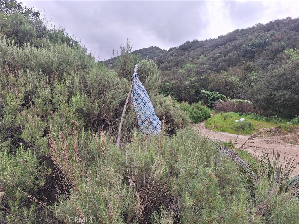 0 Tujunga La Crescenta, CA 91214 - Photo 6 of 24 this is where the lot is