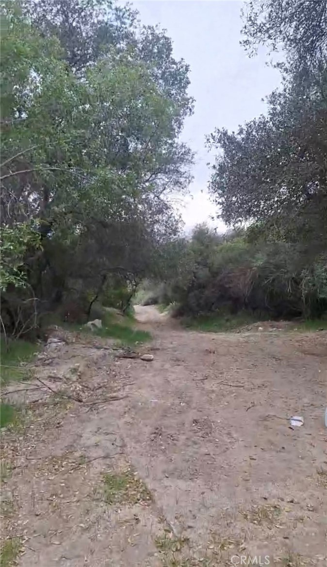 0 Tujunga La Crescenta, CA 91214 - Photo 7 of 24