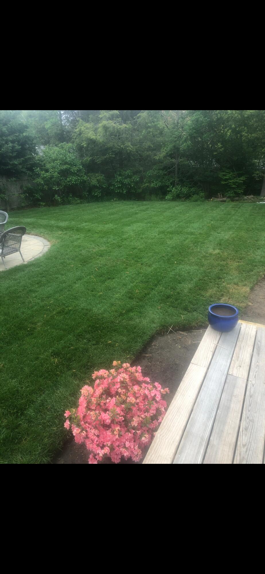 25 Rainbow Lane Mashpee, MA 02649 - Photo 22 of 30 Green grass