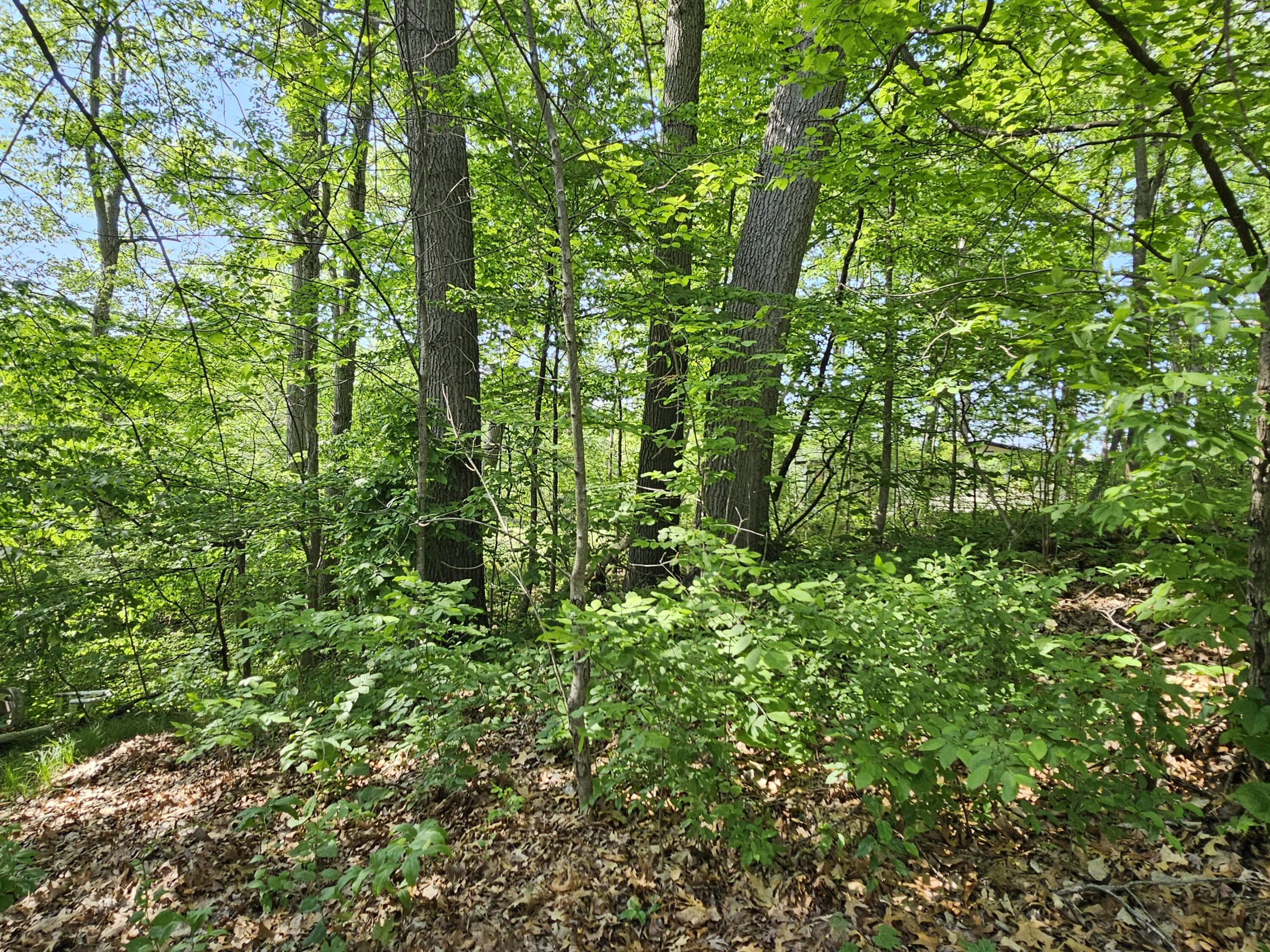 5350 Eze Street Reading, MI 49274 - Photo 30 of 36 1000039216