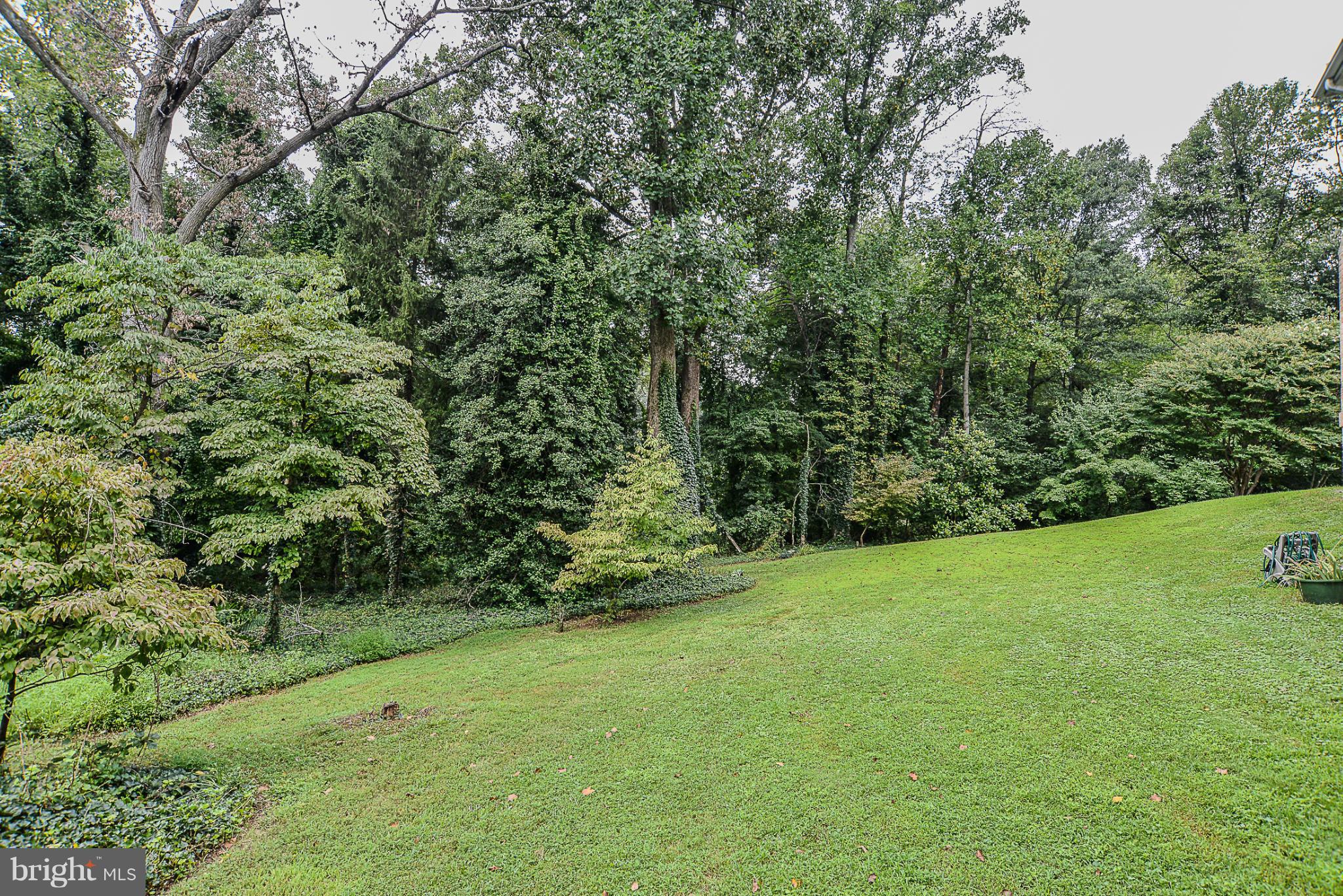 3719 Nalls Road Alexandria, VA 22309 - Photo 16 of 16 Exterior (Rear)