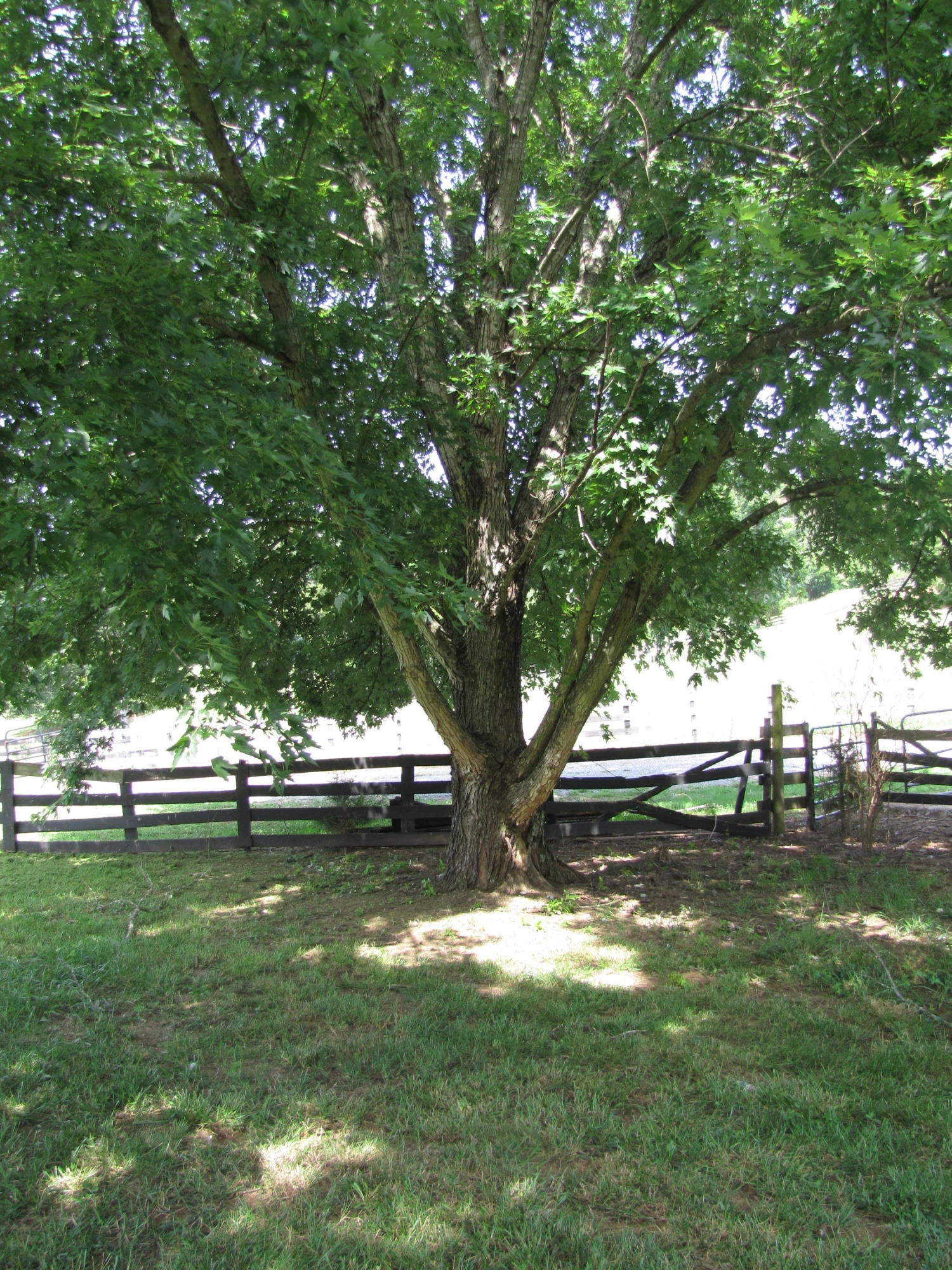 3499 Kiser Road Philadelphia, TN 37846 - Photo 34 of 38 IMG_2695