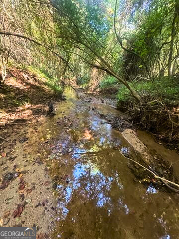 2607 Hughes Road Dewy Rose, GA 30634 - Photo 2 of 10 a view of tree